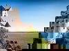 Aktiv-Trip für Alle / 4 Tage
