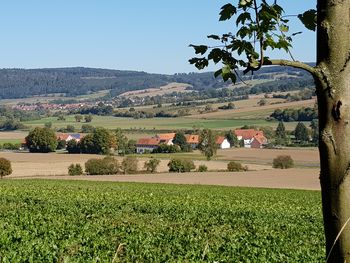 3 Tage Urlaub mit Hund im Weserbergland