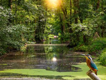 3 Tage Spreewald-Erholung & Mummel-Winter-Kahnfahrt