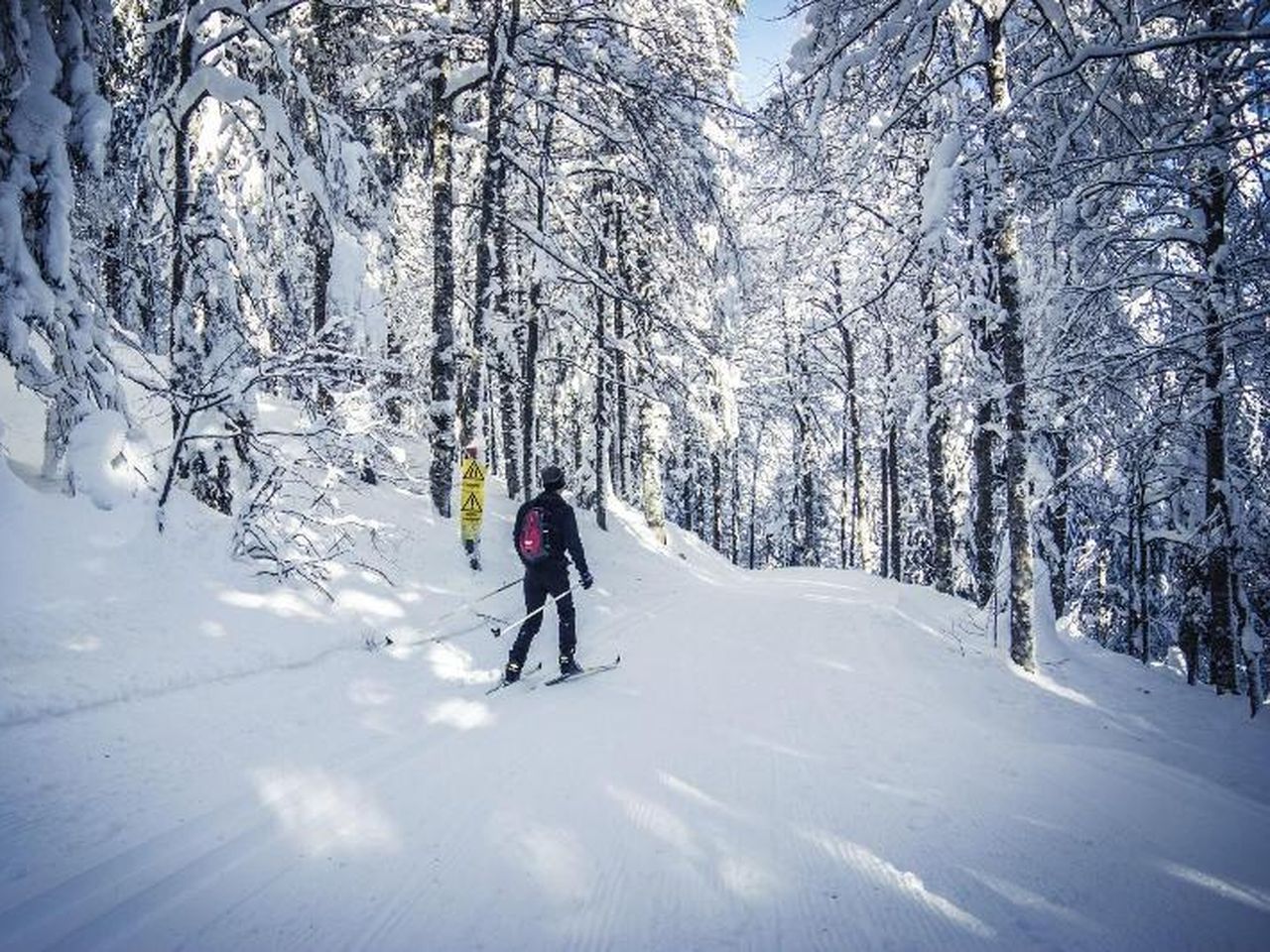 6 Tage am Titisee im Schwarzwald