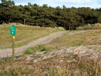 3 Tage Strandparadies Ameland Natur und endlose Weite