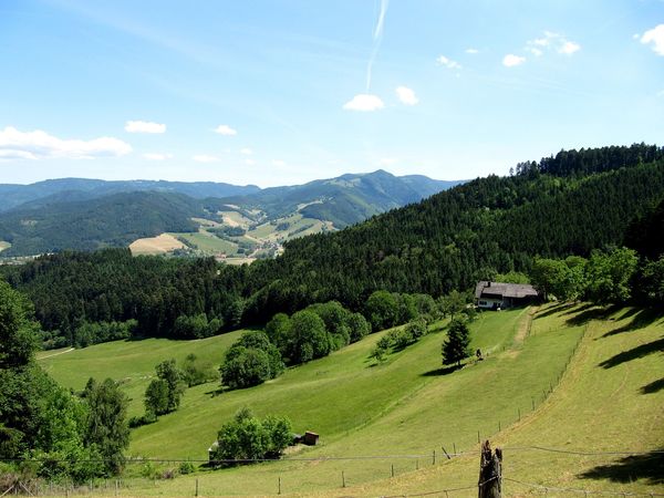 6 Tage Urlaub für neue Energie im Schwarzwald – 6 Nächte Wellness & Regeneration in Waldachtal, Baden-Württemberg inkl. Halbpension