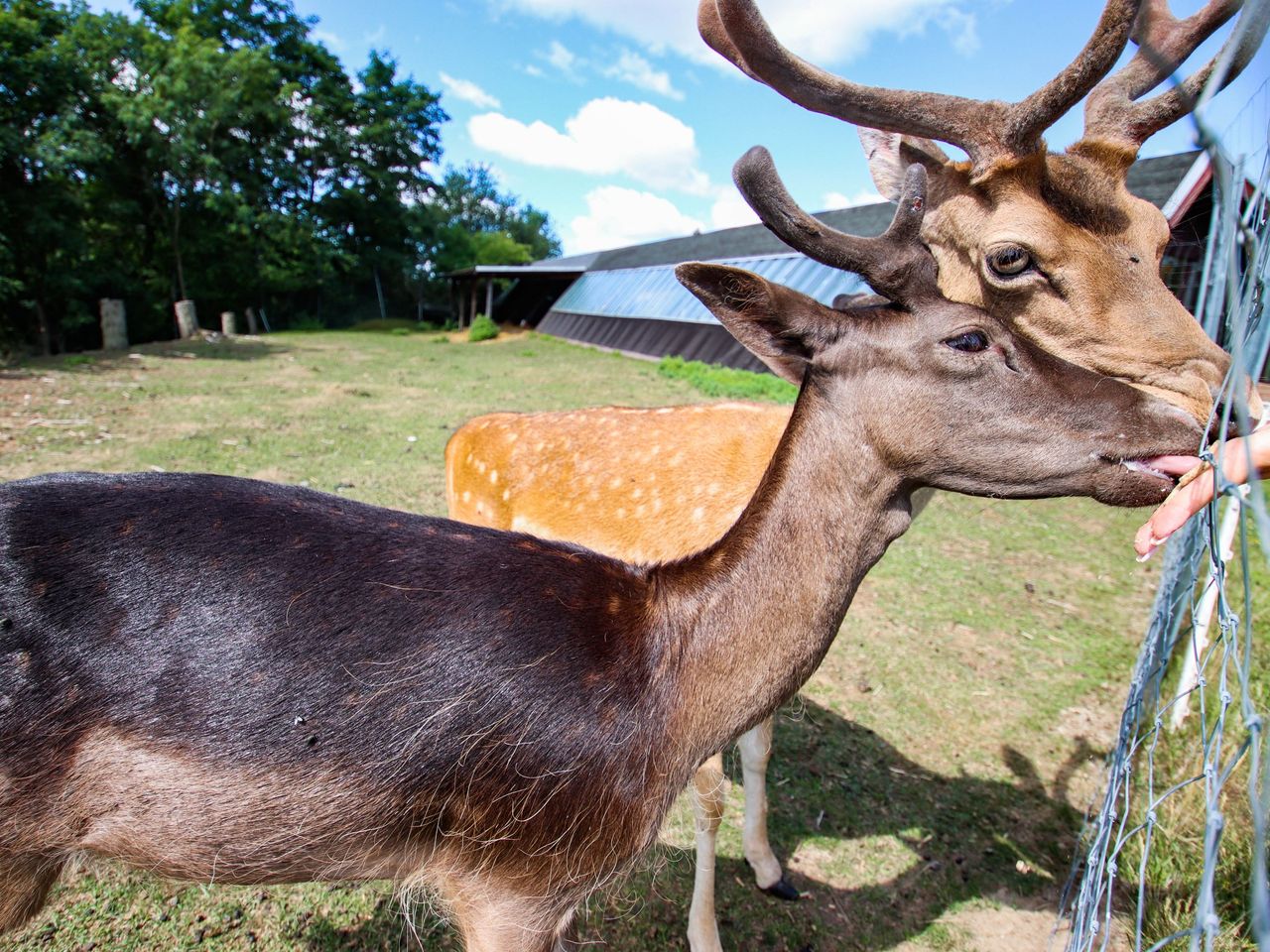 Harzer Osterkurztrip