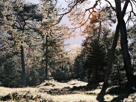 2 Tage Auszeit in der Rhön - Entspannen im Bio Hotel