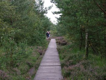 Lüneburger Heide per Rad entdecken