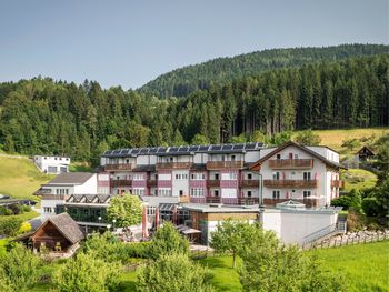 Wanderurlaub inkl. HP+ im Almenland