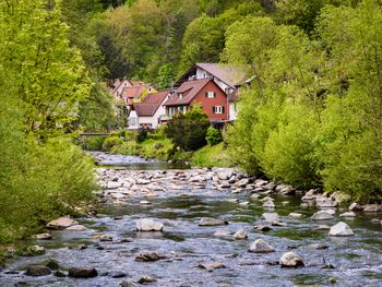 Entspannende Schwarzwald-Tage mit Massage