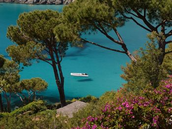 Mediterranes Elba-Traumurlaub direkt am Meer | 3 Tage