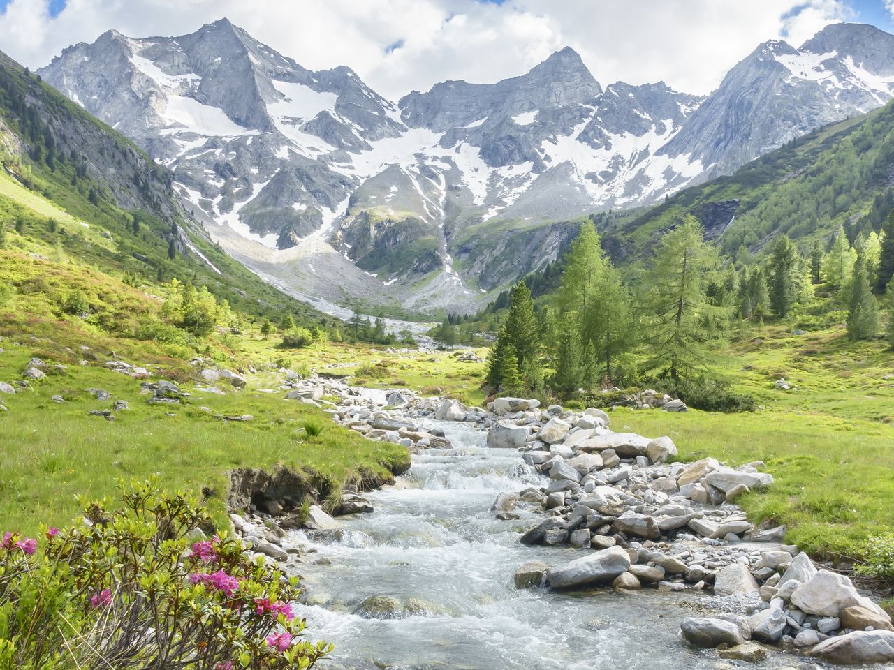 Alpine Erholung in den Gurktaler Alpen - 8 Tage