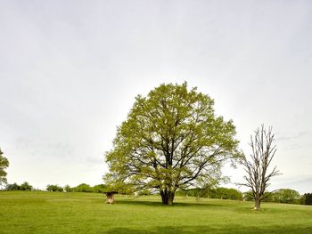 Romantik im Landhaus