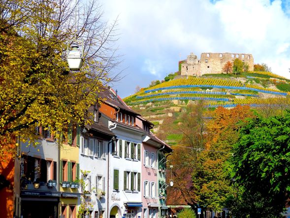 4 Tage Wandern: Weinberge und Schwarzwaldlandschaften