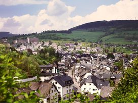 Auf vier Pfoten durch das Sauerland: 4 Tage Urlaub mit Hund in Willingen