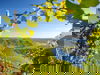Mosel & Eifel - 3 Tage Urlaub mit Vierbeiner