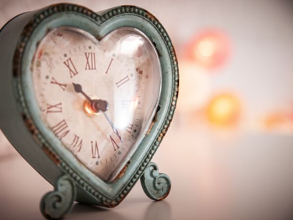 Wulffs Knuddelliebe – Was für eine Nacht! in Bad Sassendorf Halbpension