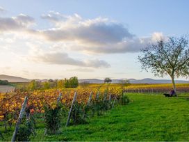 3 Tage Wanderspaß rund um Neustadt/Weinstraße & Pfalz