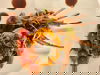Stimmungsvolle Silvestergala - 5 Tage / 4 Nächte