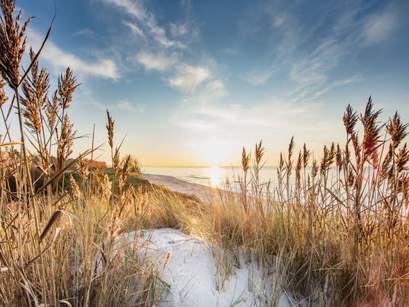 4 Tage Ostsee-Winter-Knaller inkl. Halbpension Plus