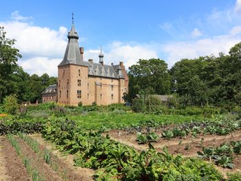 4 Tage im einzigartigen Naturgebiet Veluwe bei Arnhem