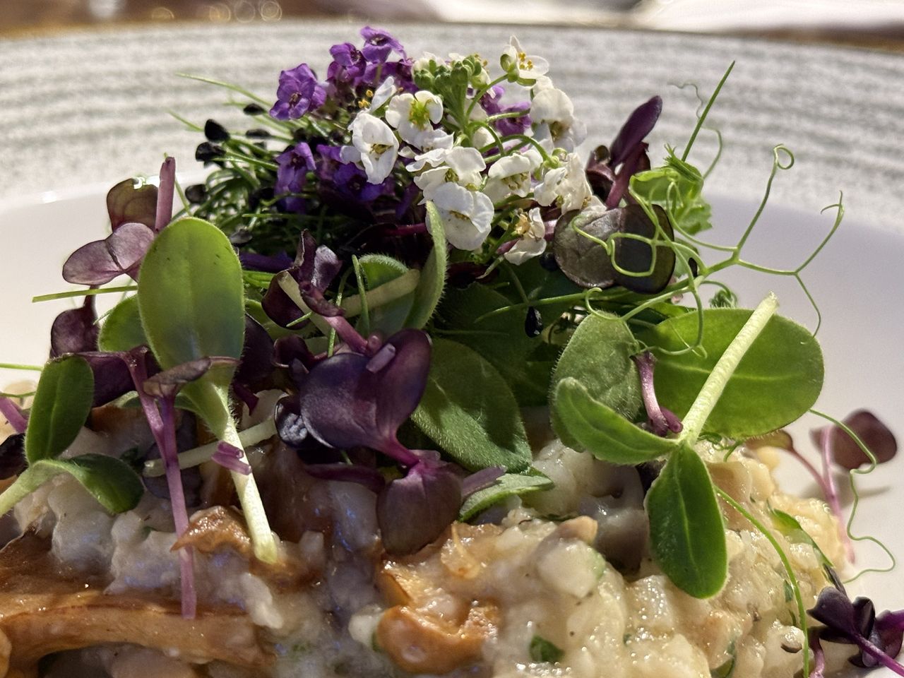 Die Natur ruft:Auszeit im Wolfstein Le Boutique Hotel