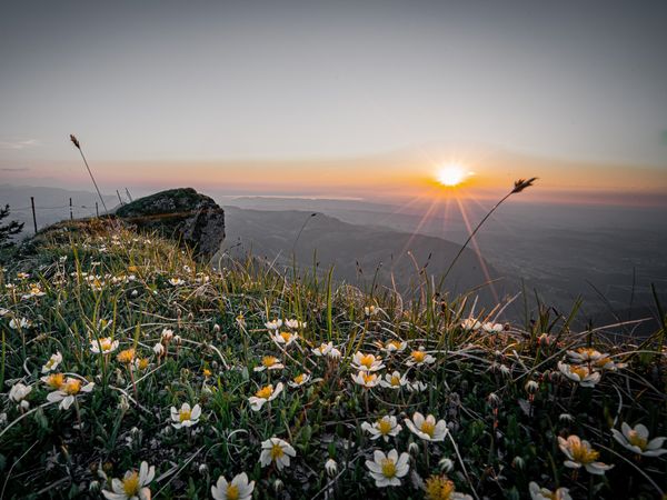 3 Tage Frühlingszauber in den Bergen – Last-Minute-Special! in Unterwössen, Bayern inkl. Halbpension