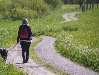 Tierisch Taunusstein - Urlaub mit dem Hund  | 2 Tage