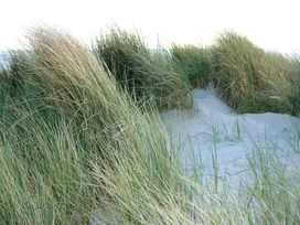 5 Tage Insel-Auszeit & Dünenruhe auf Ameland genießen