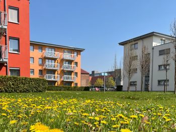Bild 18 von 20