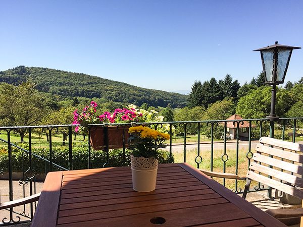 4 Tage Auszeit im Markgräflerland und dem Schwarzwald in Badenweiler, Baden-Württemberg inkl. Halbpension