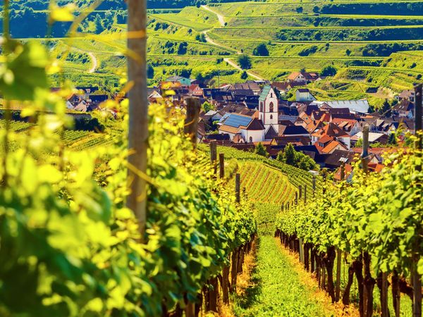 3 Tage 4 Erholungstage im Schwarzwald in Furtwangen - Neukirch, Baden-Württemberg inkl. Frühstück