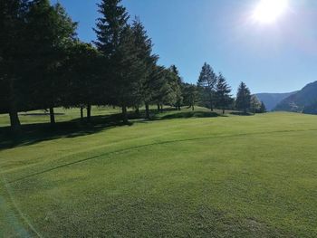 Auszeit - Natur 4 Tage mit Frühstück im Alpenlandhof