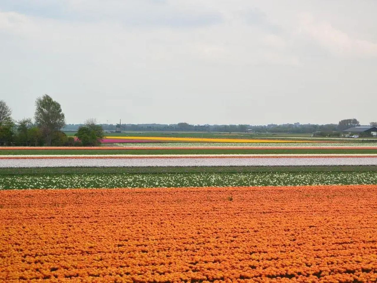 Nordsee-Auszeit mit Wellness mit Frühstück - 3 Tage