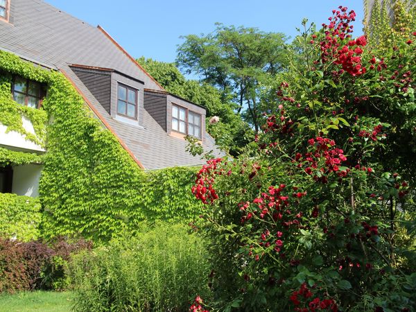 8 Tage im schönen Burgenland in Rust inkl. Frühstück