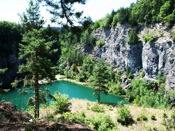 Sombea-Auszeit: 3 Tage Schwarzwald inkl. 1x Dinner in Donaueschingen, Baden-Württemberg inkl. Frühstück
