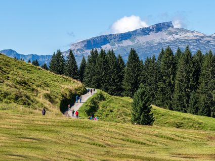 8 Tage in den Kitzbühler Alpen relaxen mit HP+