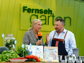 ZDF Fernsehgarten mit Ticket und Hotel