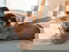 Wellness für Sie und für Ihn an der polnischen Ostsee