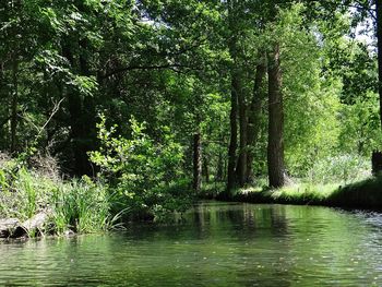 Schnupperbesuch im Spreewald