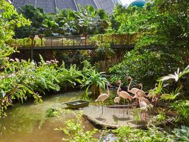 2 Tage Tropenurlaub im Tropical Islands Resort