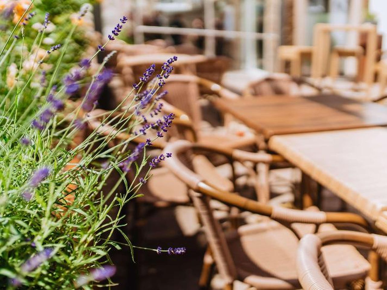 8Tage Best Western Plus Hotel Willingen mit Frühstück