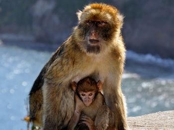 7 Tage Piratenaufenthalt am Freizeitpark Geiselwind