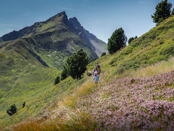 4 Tage Kuschelzeit mit Wellness & HP im Zillertal in Aschau im Zillertal, Tirol inkl. Halbpension