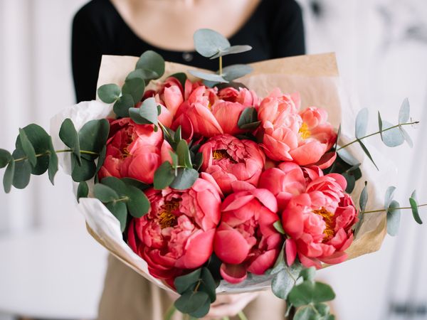 Happy Birthday in Görlitz Halbpension