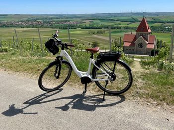 Winterliche Träumerei im Weinberg