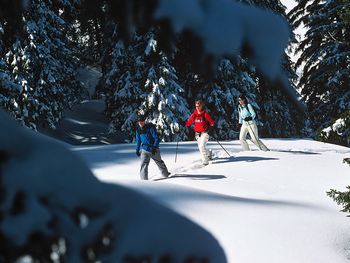 4 Tage Schweiz entdecken im Sorell Hotel Tamina