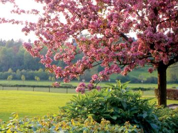 5 Tage Wanderglück & Ruhe im Süden von Limburg