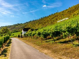 Kurztrip mit dem eigenen Rad - Naumburg & Umgebung erleben