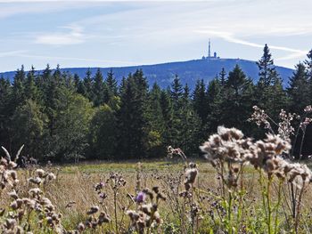 Harzer Kurztrip mit Brötchenservice