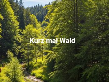 Kurz mal Wald: 3 Tage am Rennsteig im Thüringer Wald