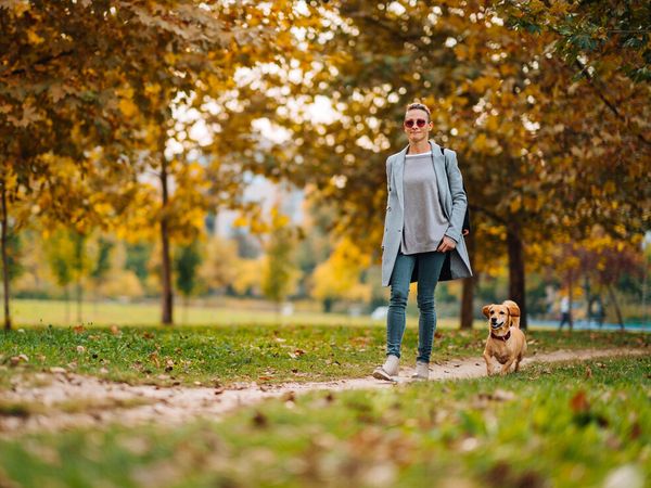 Vier Pfoten auf Entdeckungsreise in Stuttgart Frühstück