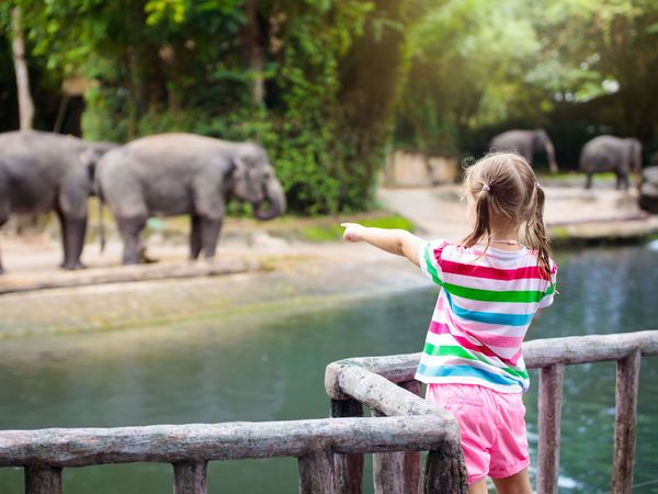 Kurztrip in den Grünen Zoo in Wuppertal, Nordrhein-Westfalen inkl. Frühstück